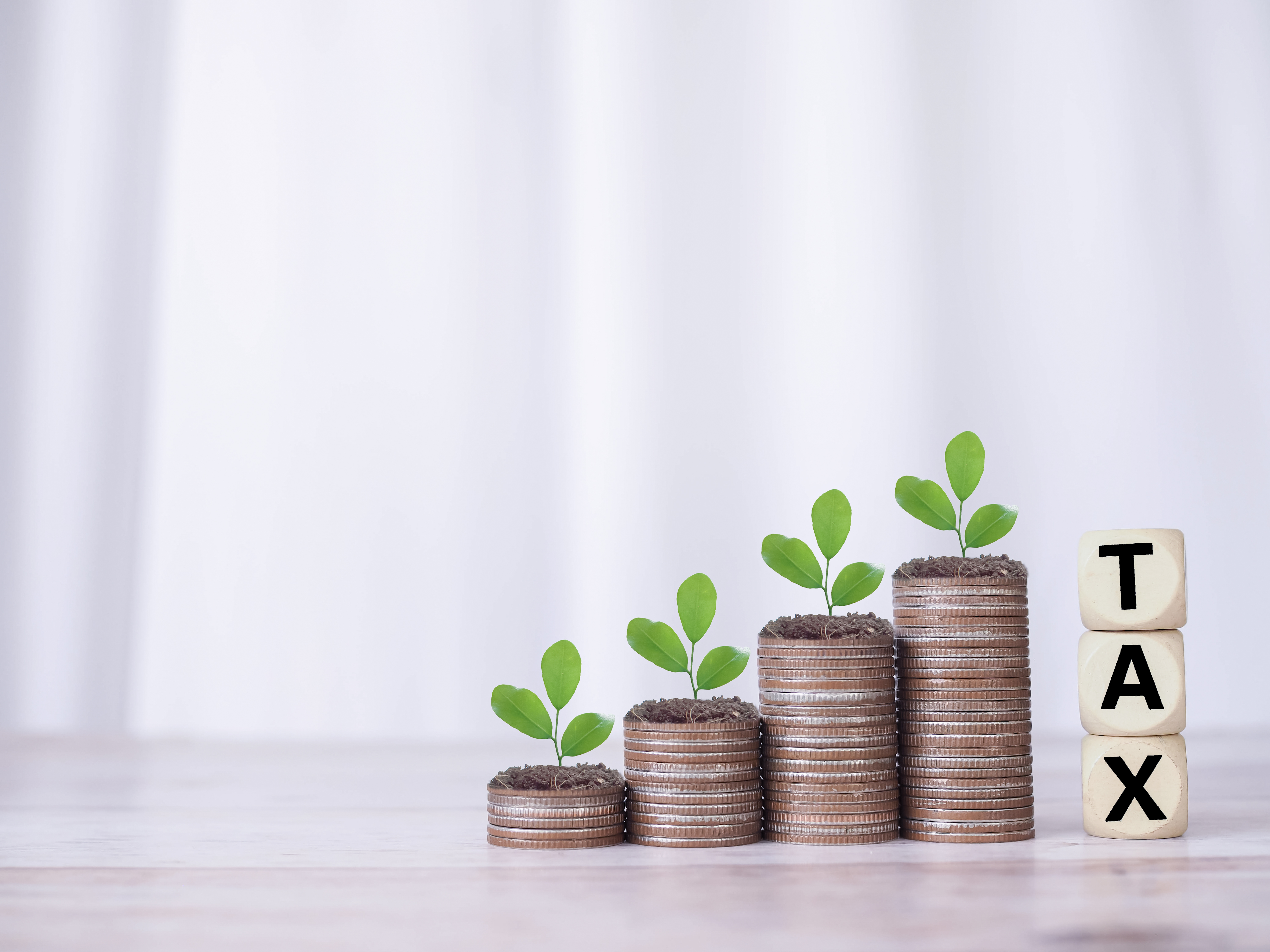 Gestión de Devoluciones y Saldos a Favor (DIAN)